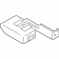 OEM Chevrolet City Express Module - 19316475