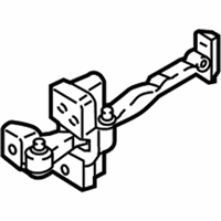 OEM 2021 BMW X1 Front Door Brake - 51-21-7-436-001