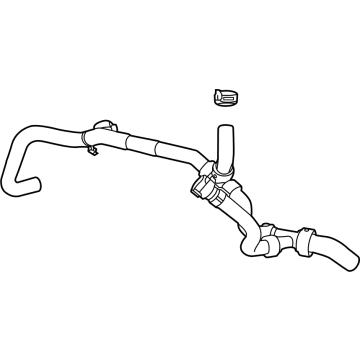 OEM Ford F-150 HOSE ASY - ML3Z-8C289-B