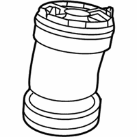 OEM 2015 Cadillac XTS Air Spring - 84252216