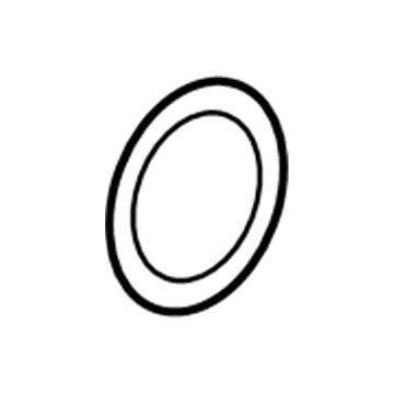 GM 55580193 Preconverter Seal