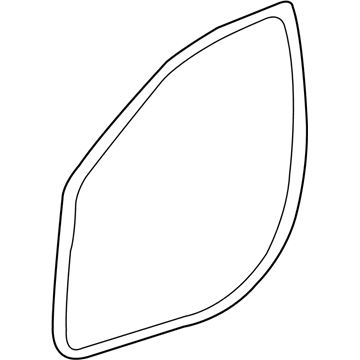 GM 20805481 Door Weatherstrip