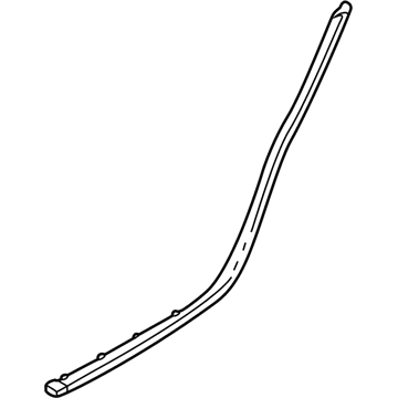 GM 25762382 Weatherstrip-Rear Side Door Lower