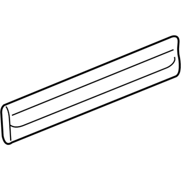 GM 20817039 Body Side Molding