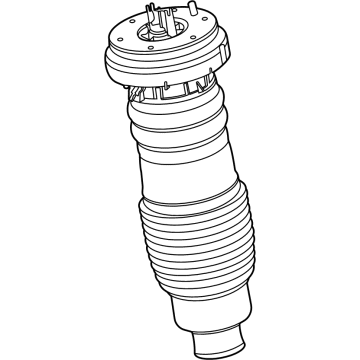 Ford LC5Z-3C199-G Air Spring