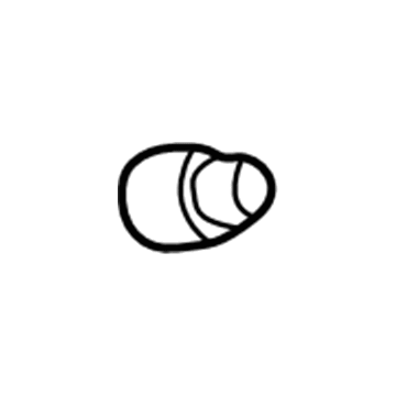 GM 10064825 Wheel Nut Cap