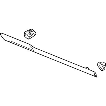 GM 84276448 Body Side Molding