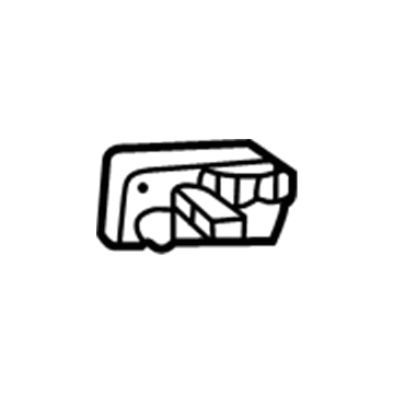 GM 15968164 Handle, Outside