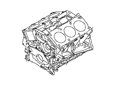 Nissan 11000-EA200 Block Assy-Cylinder