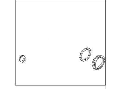 Nissan D1ABM-30P26 Seal Kit Disc