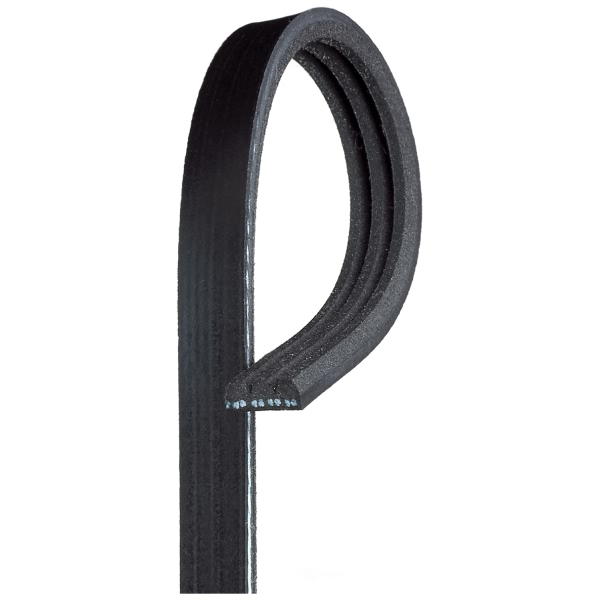 Gates Micro V V Ribbed Belt K030340