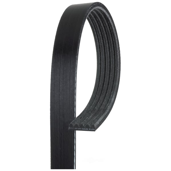 Gates Micro V V Ribbed Belt K050523