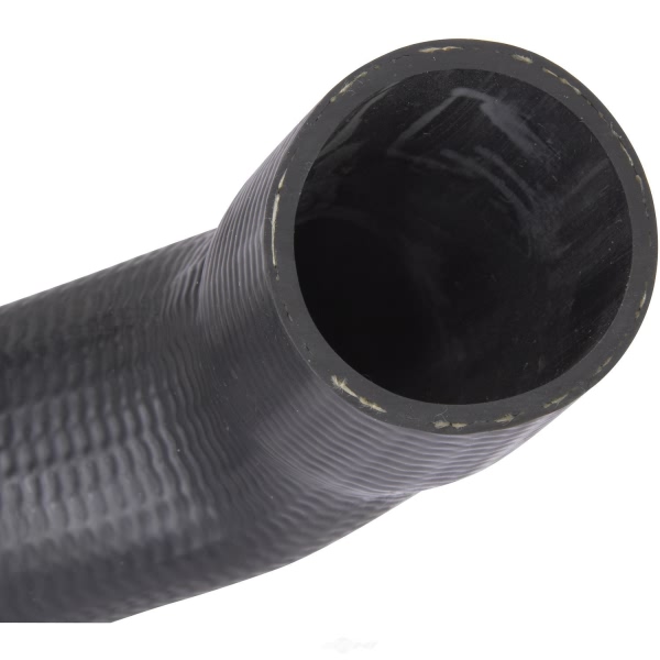 Spectra Premium Fuel Filler Hose FNH065