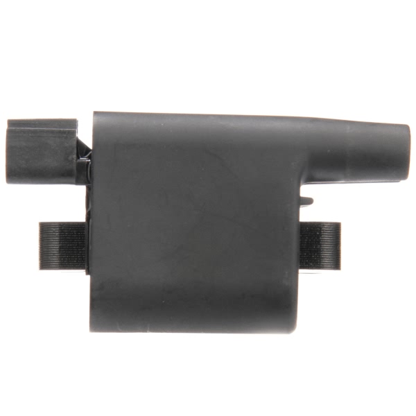 Delphi Ignition Coil GN10396