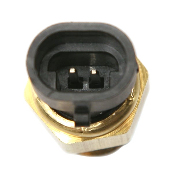 Delphi Coolant Temperature Sensor TS10019