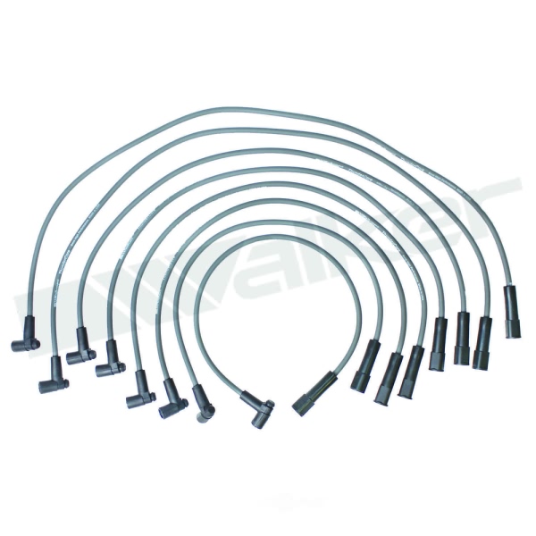 Walker Products Spark Plug Wire Set 924-1513