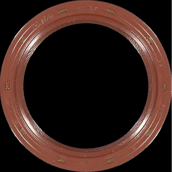 Victor Reinz Crankshaft Seal 81-28236-00