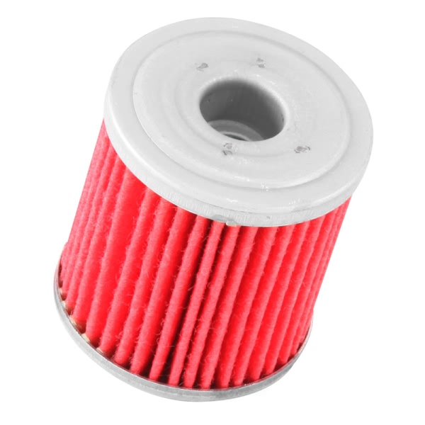 K&N Oil Filter KN-207