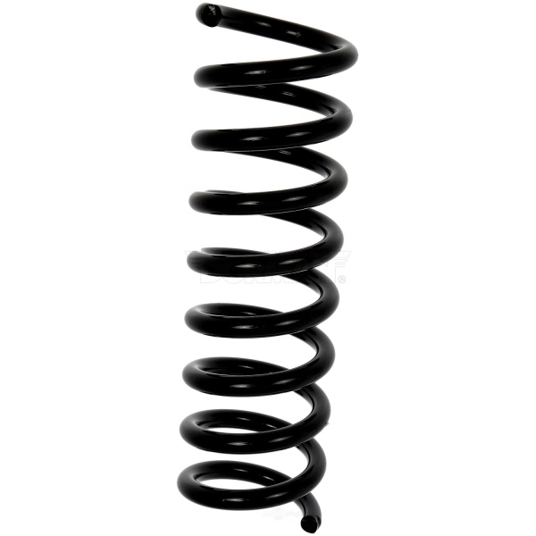 Dorman Rear Coil Springs 926-574