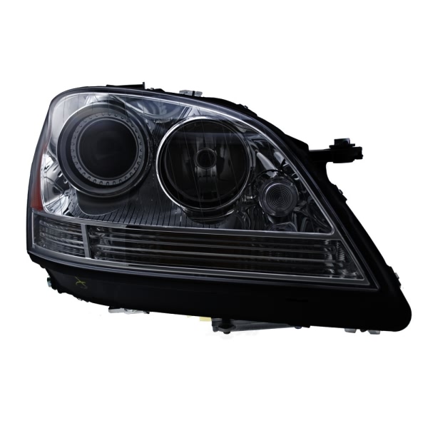 Hella Headlight Assembly 263036361