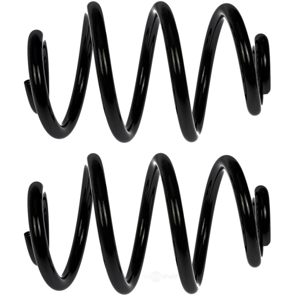 Dorman Rear Coil Springs 926-576