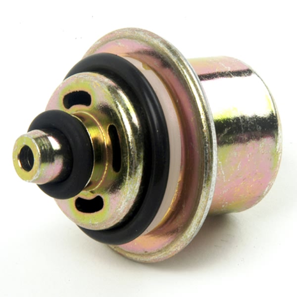 Delphi Fuel Injection Pressure Regulator FP10046