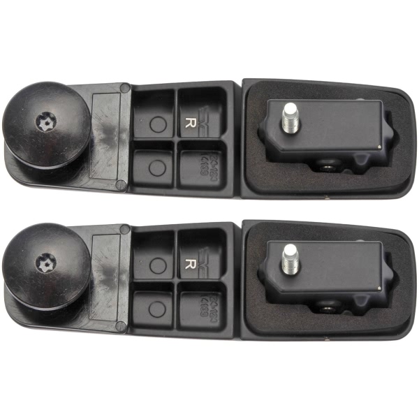 Dorman OE Solutions Liftgate Glass Hinge Set 924-124