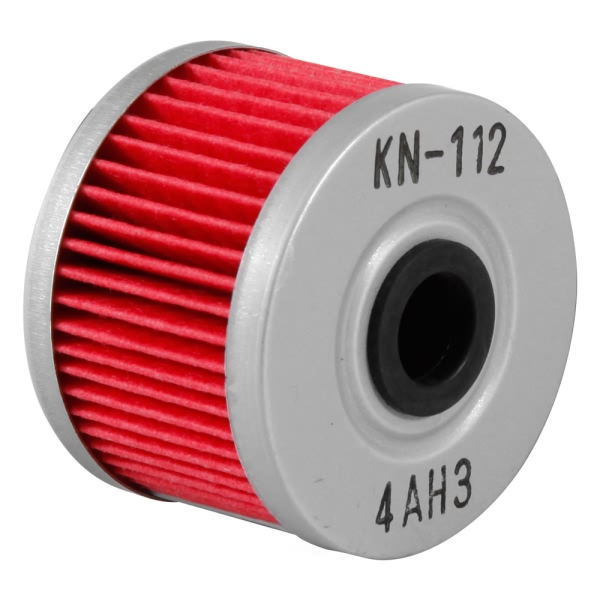 K&N Oil Filter KN-112