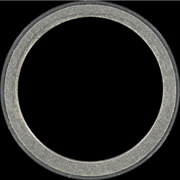 Victor Reinz Crankshaft Seal 81-36022-00