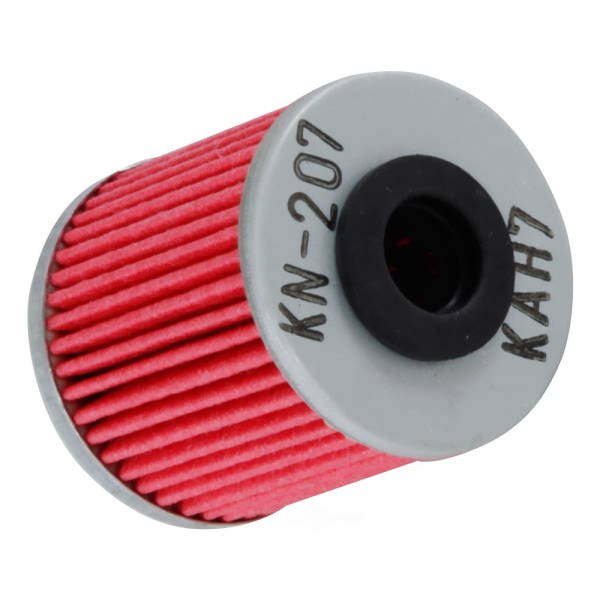 K&N Oil Filter KN-207