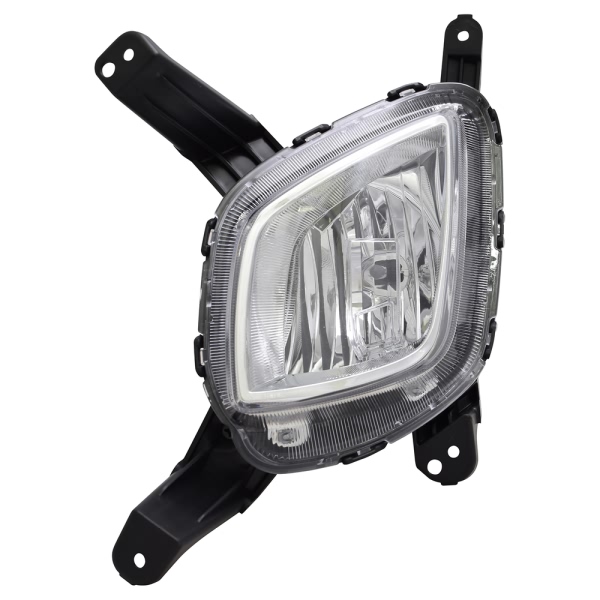 TYC TYC NSF Certified Fog Light Assembly 19-6128-00-1