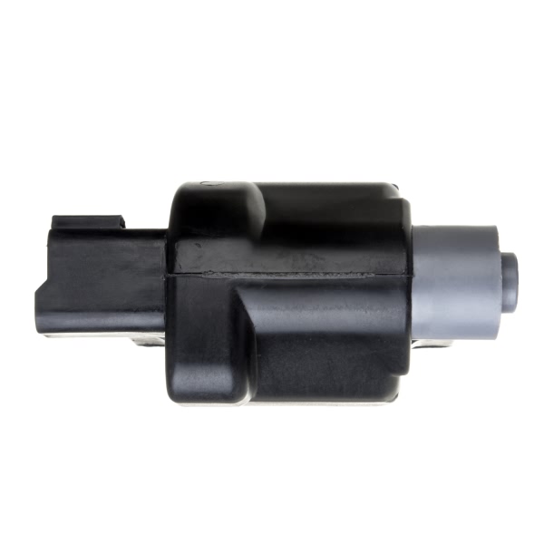 Delphi Ignition Coil GN10288