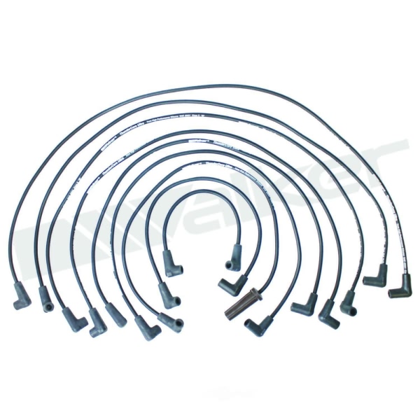 Walker Products Spark Plug Wire Set 924-1423