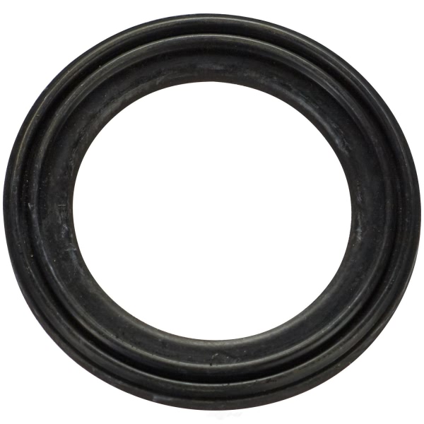 Spectra Premium Fuel Tank Lock Ring LO43