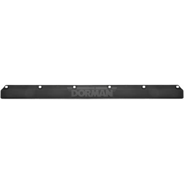 Dorman OE Solutions Upper Tailgate Molding 924-569