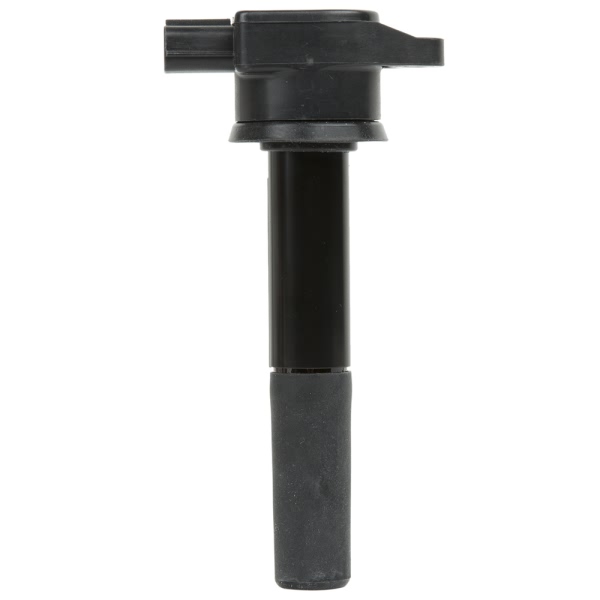 Delphi Ignition Coil GN10358