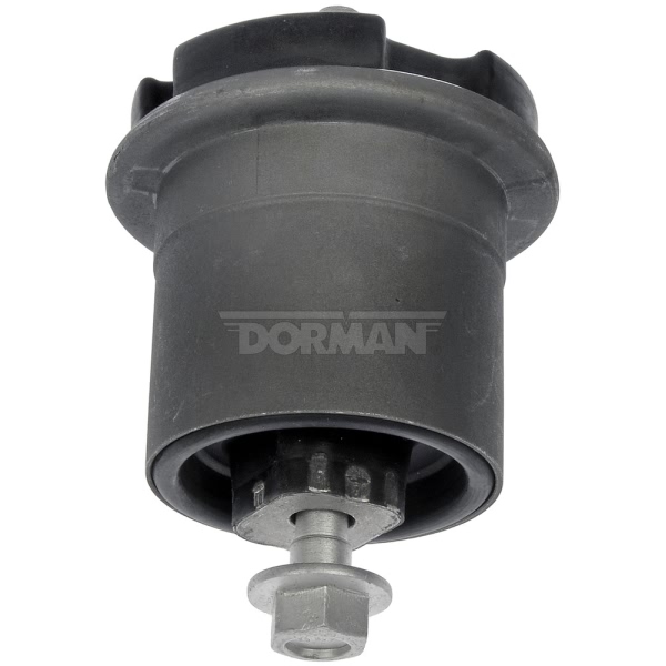 Dorman Rear Regular Trailing Arm Bushing 523-073