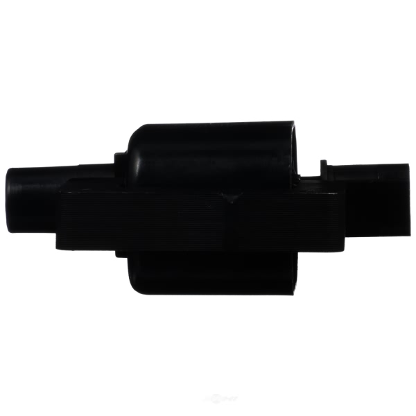 Delphi Ignition Coil GN10024