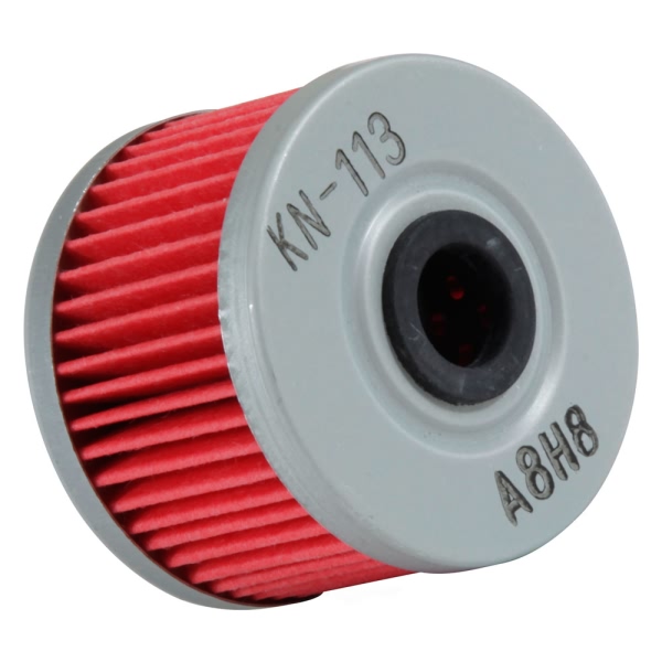 K&N Oil Filter KN-113