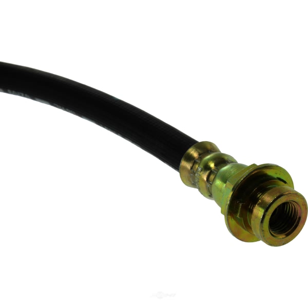 Centric Rear Passenger Side Lower Brake Hose 150.66359