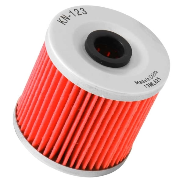 K&N Oil Filter KN-123