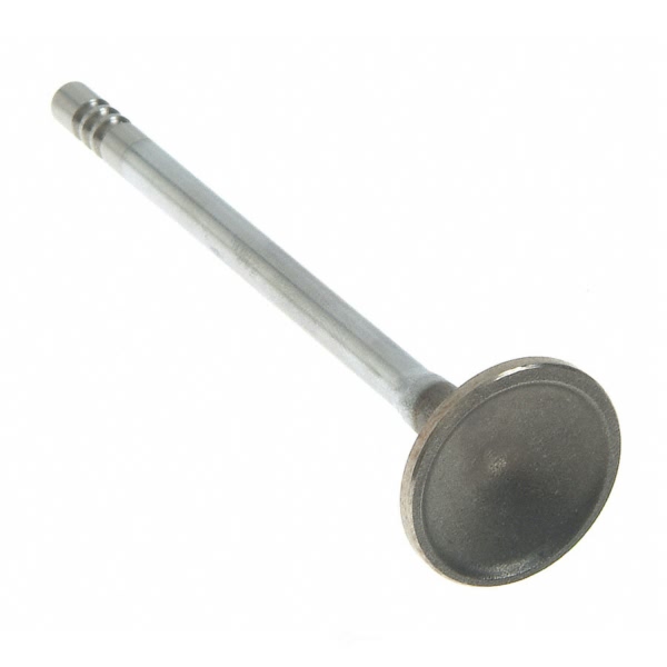 Sealed Power Engine Exhaust Valve V-4648