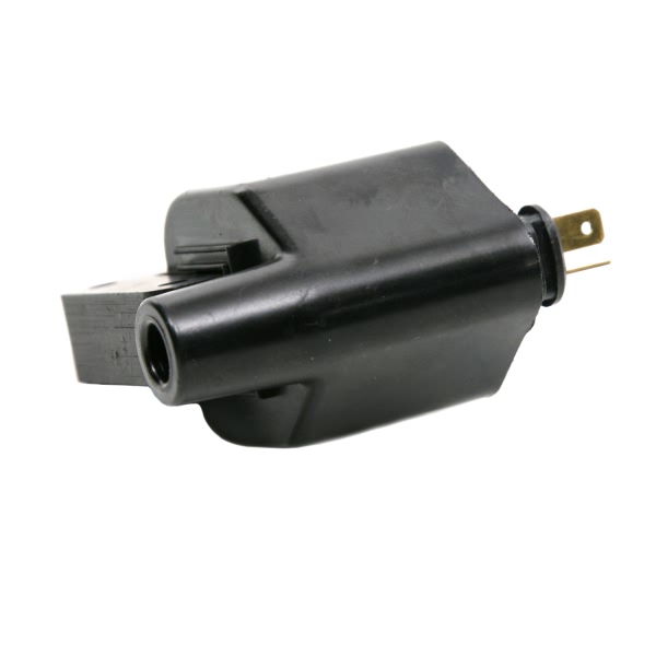 Delphi Ignition Coil GN10170