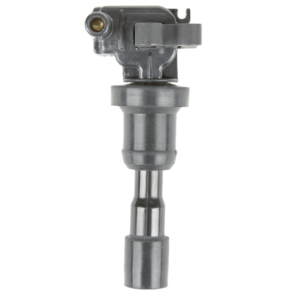 Delphi Ignition Coil GN10385