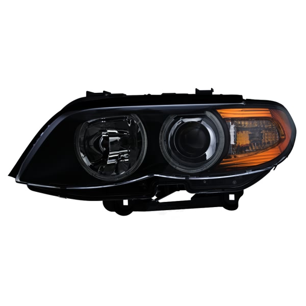 Hella Headlight Assembly 224486231