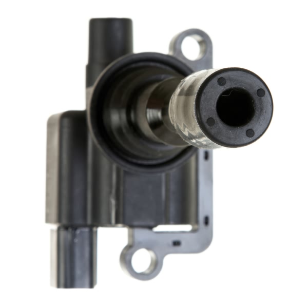 Delphi Ignition Coil GN10304