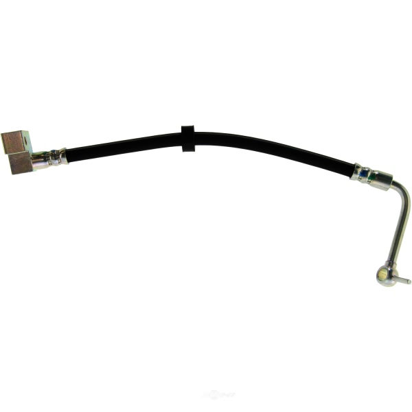 Centric Rear Passenger Side Lower Brake Hose 150.22313