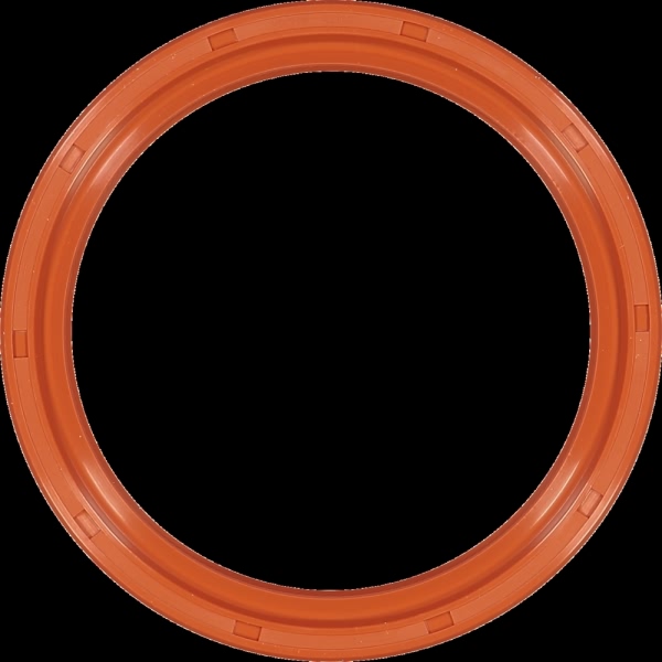 Victor Reinz Rear Crankshaft Seal 81-22887-00