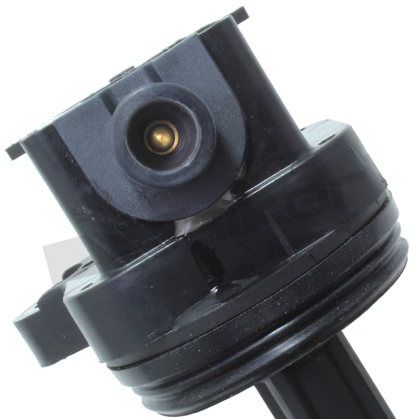 Walker Products Ignition Coil 921-2074