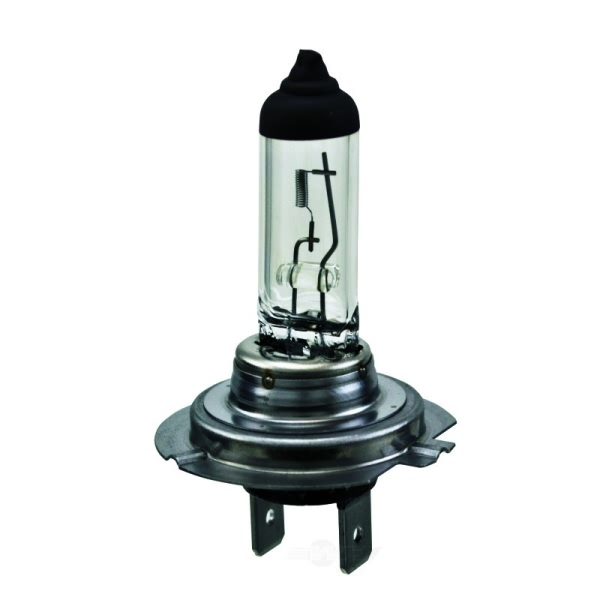 Hella H7 Standard Series Halogen Light Bulb H7